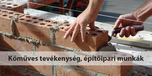 kmves tevkenysg